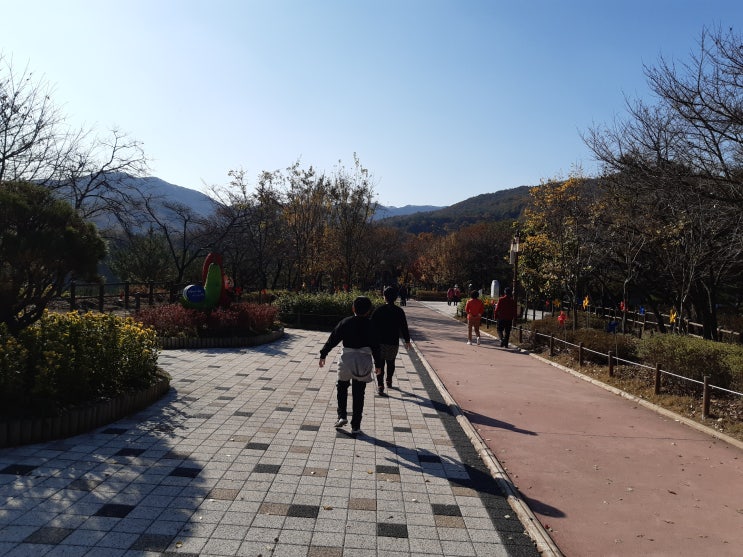  천장호출렁다리,칠갑산출렁다리,청양관광