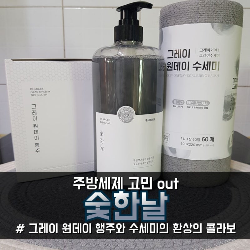 주방 세제 고민은 숯한날과 그레이 원데이 수세미 콜라보로 안녕_1종 주방 세제 고르기