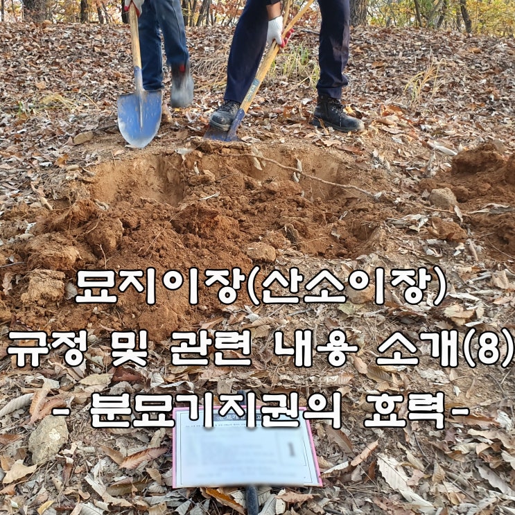  묘지이장(산소이장) 규정 및 관련 내용 소개(8) - 분묘기지권의 효력-