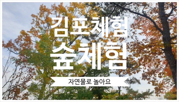 숲체험 자연물로 놀아요