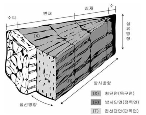 목재료 사용을 위한 수목의 이해