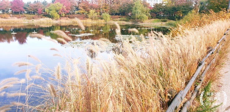  서서울호수공원에서의 가을 풍경
