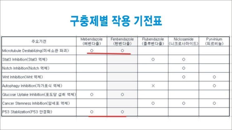  펜벤다졸후기(34)-체험사례/펜벤다졸복용법/폐암/자궁근종/밀크시슬/구충제후기