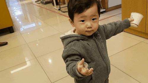 또 복덩이가 왔어요. 또복이 식빵이 동생입니다. 임신 과정 순서 바우처 또 복덩이가 왔어요. 또복이 식빵이 동생입니다. 임신 과정 순서 바우처