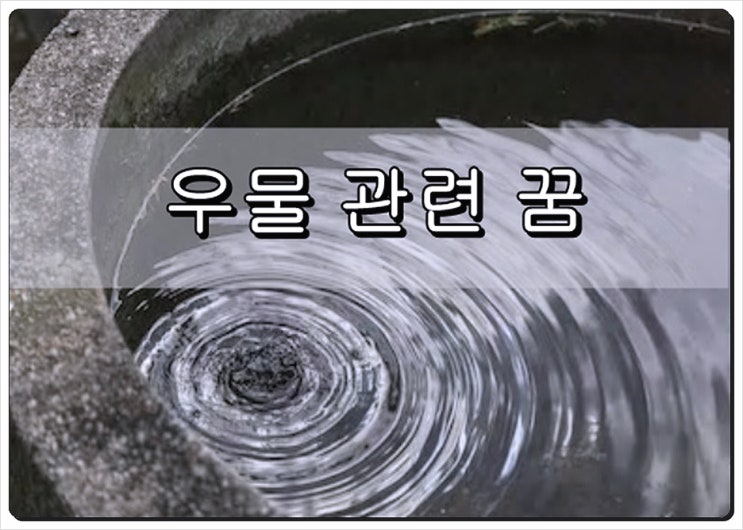 우물꿈 개구리는 어디에?