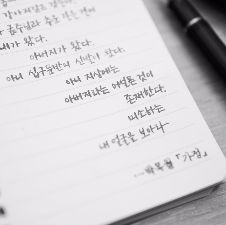 박목월 - 가정 (파이롯트 커스텀 742 fa닙)