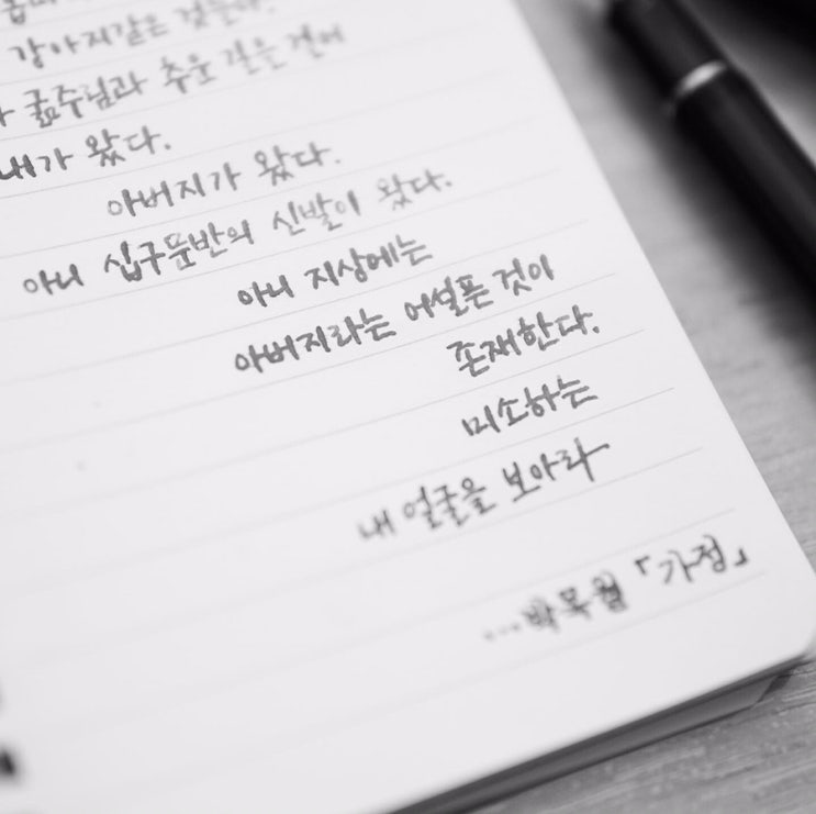  박목월 - 가정 (파이롯트 커스텀 742 fa닙)