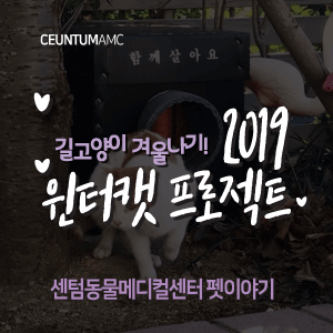  [동물뉴스]길고양이 겨울나기! 2019 윈터캣 프로젝트 (365일연중무휴 동물병원)
