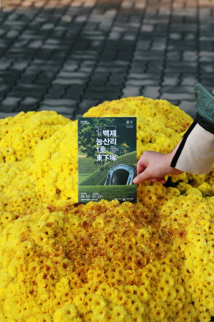  부여 가을에 가볼 만한 곳 #2 (부여, 가을여행지)