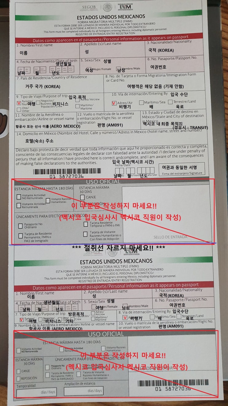  멕시코 입국 신고서 (세관 신고서)