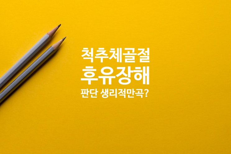  요추(척추체)압박골절과 광주손해사정사의 장해진단 조언!!
