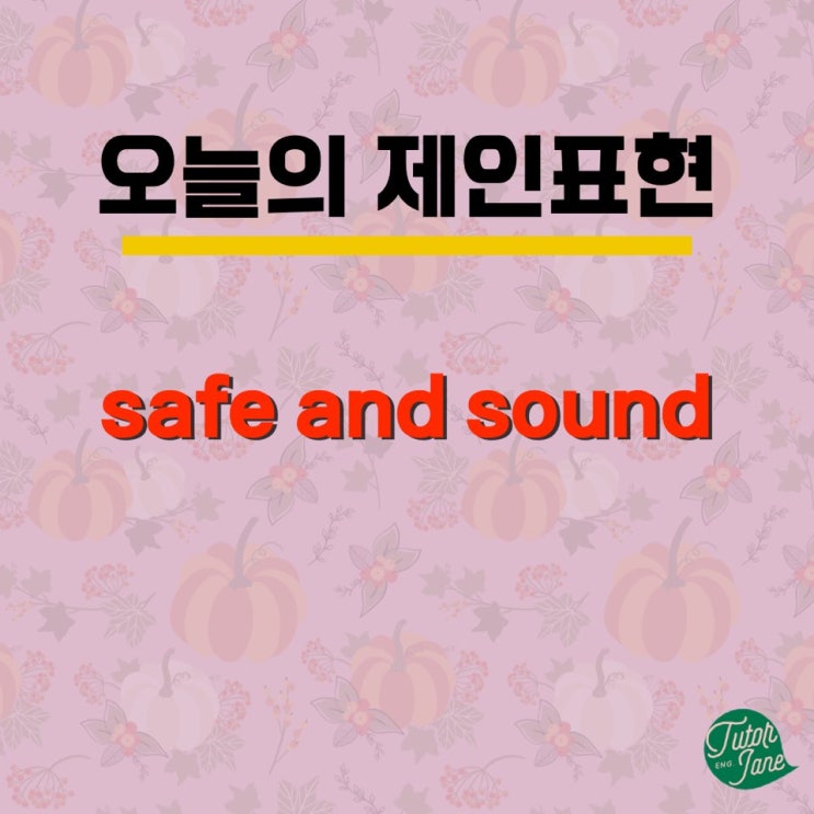 [오늘의 제인표현#10] safe and sound는 영어로 무엇일까요?