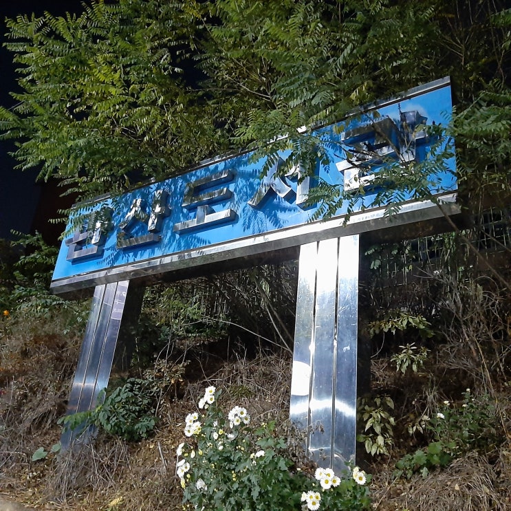  스마트폰사진찍기 해볼까?