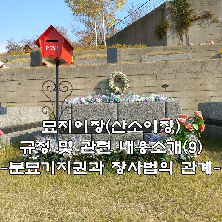  묘지이장(산소이장) 규정 및 관련 내용소개(9)- 장사법의 관계-