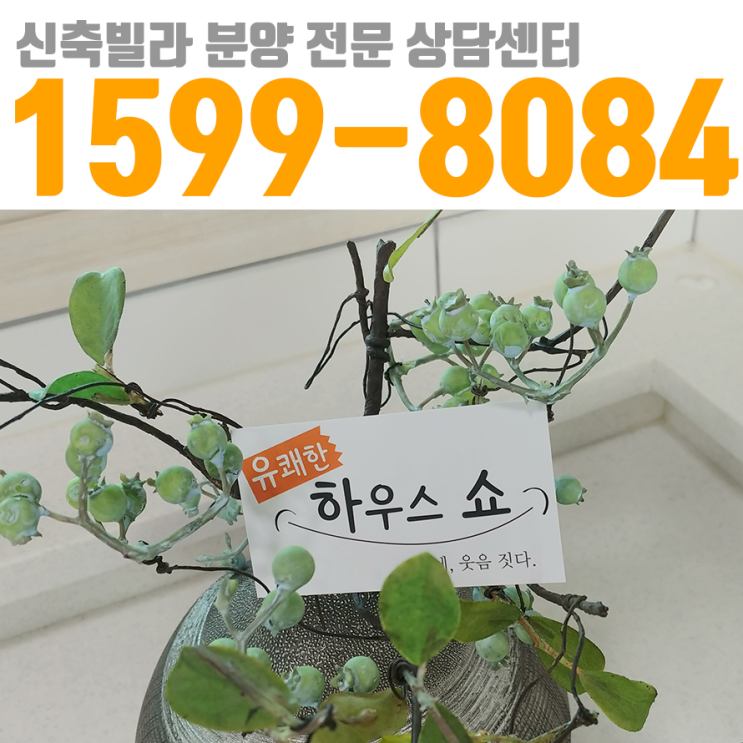  하우스쇼 빌라 분양 정보 초월빌라