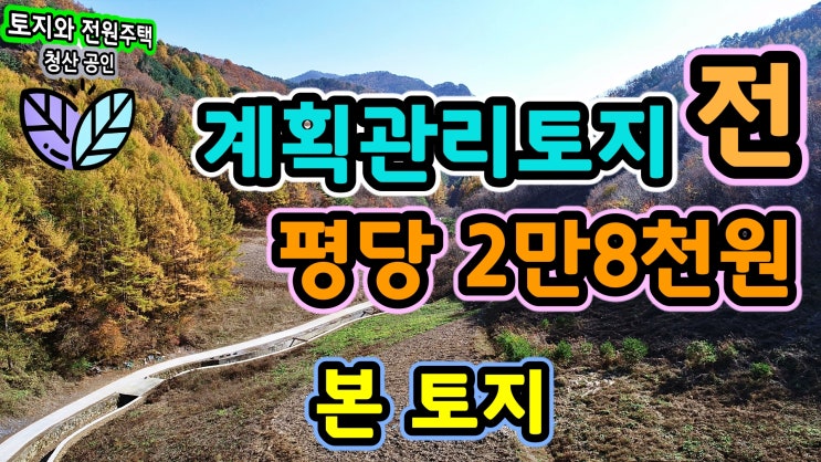  강원도 영월 토지매매 계획관리 전 평당 2만8천원의 저렴하고 넓은 토지매매 약초재배 방목