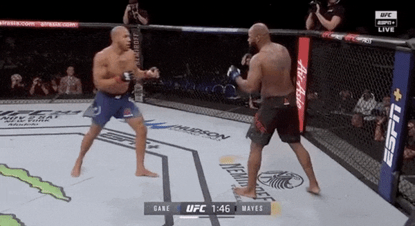 UFC 부산, 강경호 vs 리우, 가네 vs 보저 프리뷰 UFC 부산, 강경호 vs 리우, 가네 vs 보저 프리뷰