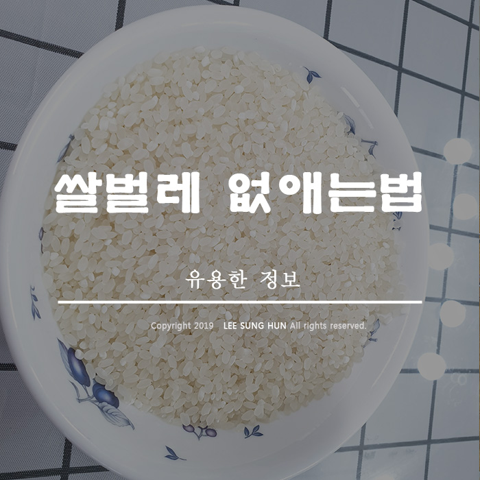  쌀벌레 없애는법 완전 간단하게 해결해 보세요.