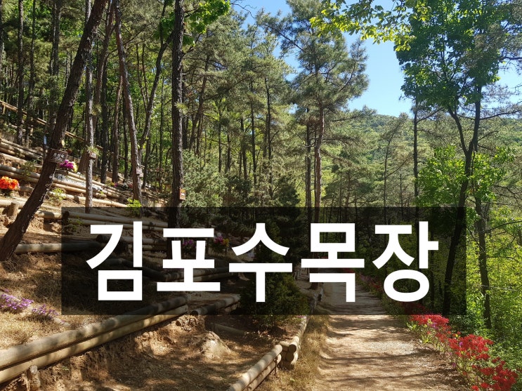  접근성이 좋아 추천드리는 김포수목장