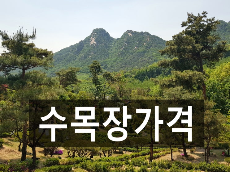 수목장가격 책정의 조건, 알고 계신가요?