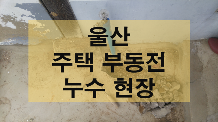 [울산누수탐지] 부동전 주위에 생긴 누수해결