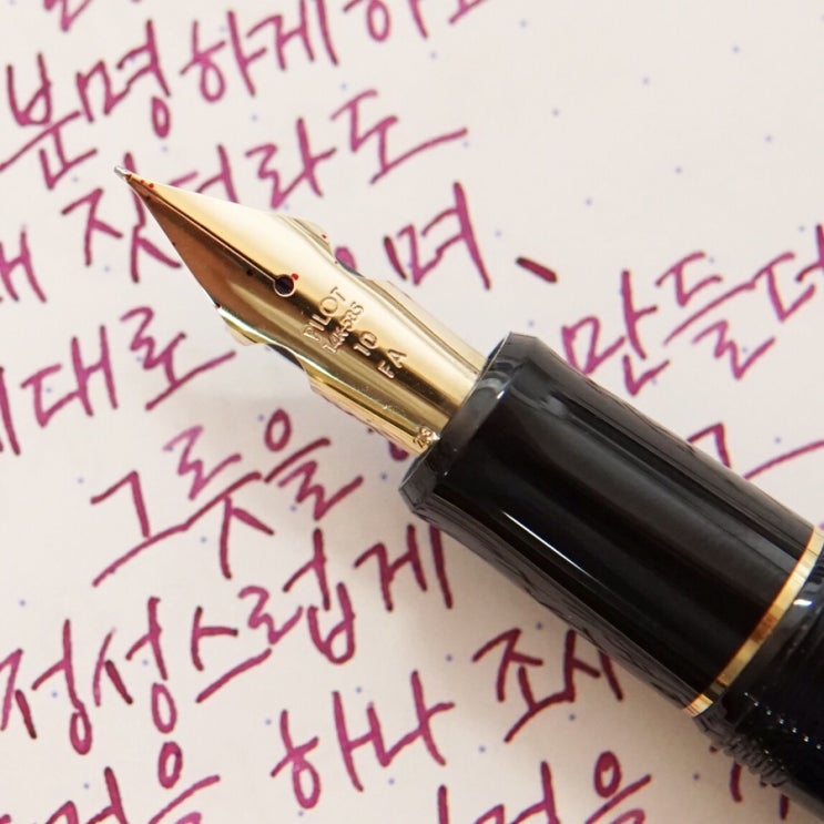  당신은 학자입니다 (파이롯트 커스텀 742 fa닙 & 영생3008 데몬 ef닙)