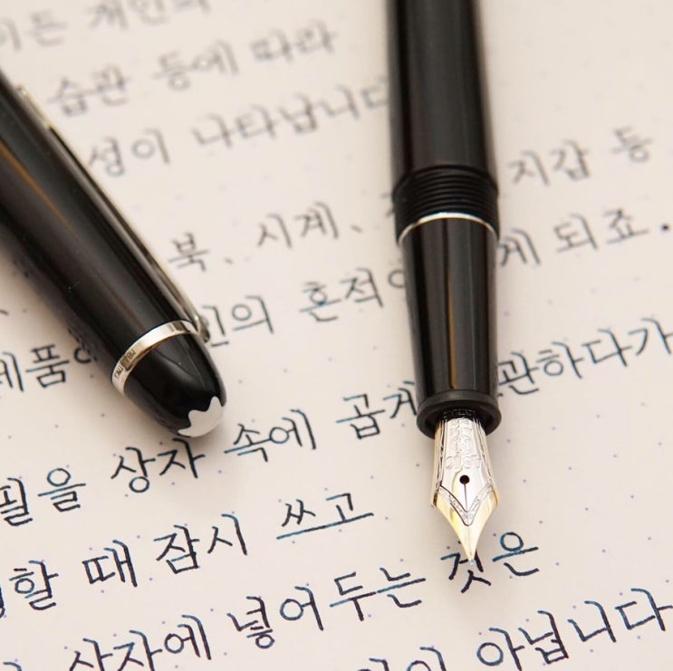 몽블랑이 원하는 일이 아닙니다? (몽블랑 마이스터스튁 145 ef닙)