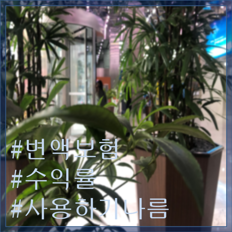  변액 보험 수익률 안 좋아서 해지했다고?
