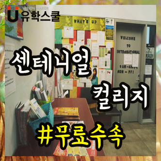  센테니얼컬리지 중장비학과는 언제 준비해야 할까요?