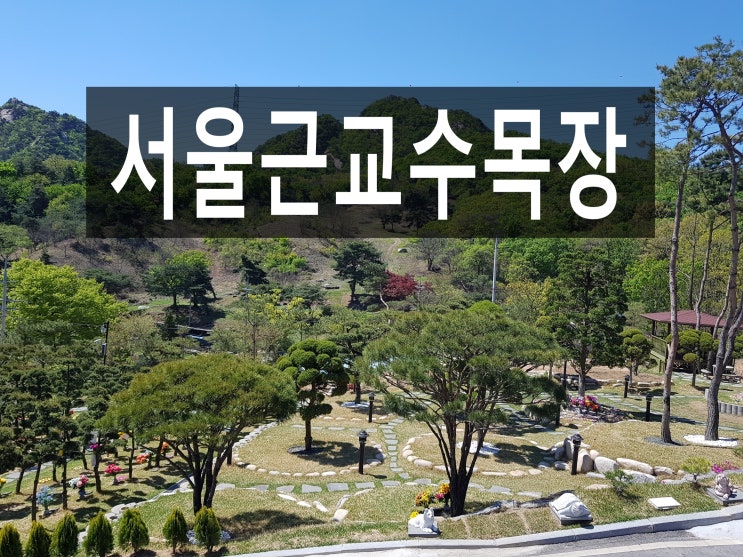 서울근교 각각의 수목장 위치가 궁금하신가요?
