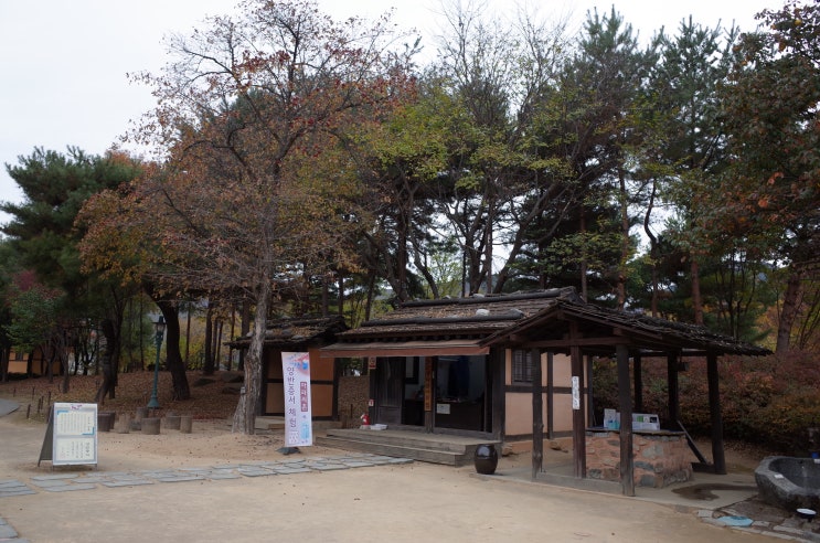  정선 아이랑가볼만한 곳 : 아라리촌