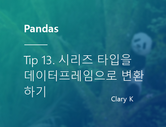 [파이썬] 판다스(pandas) 팁13. 시리즈 타입 컬럼을 분리한 후 데이터프레임으로 변환하기