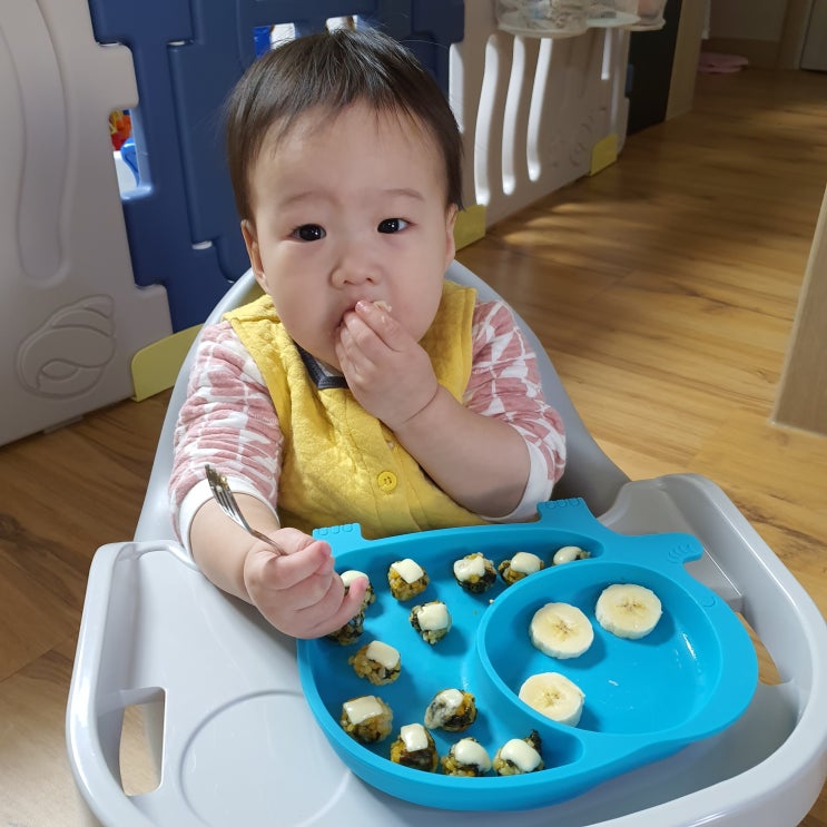  [세이지스푼풀] 코끼리 '강력흡착' 유아식판 추천해요!