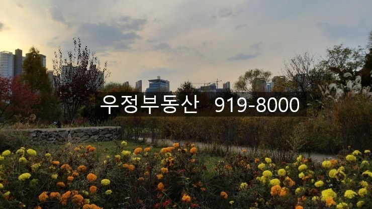  (신일초,신일중,후곡학원가,일산역)후곡아파트,후곡부동산,후곡마을추천매물,일산동 후곡마을 아파트,후곡마을 부동산, 후곡마을 아파트,15단지건영아파트 27평 매매41000aksdnjs,세안고