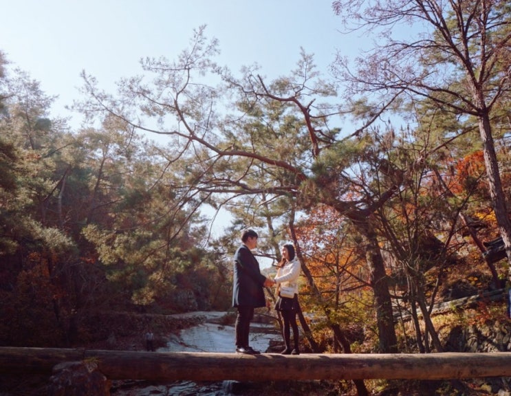 안동 단풍 가을나들이2탄(만휴정/묵계서원) 안동 단풍 가을나들이2탄(만휴정/묵계서원)