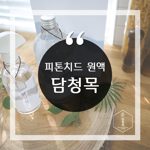  피톤치드 원액 담청목으로 커튼냄새제거
