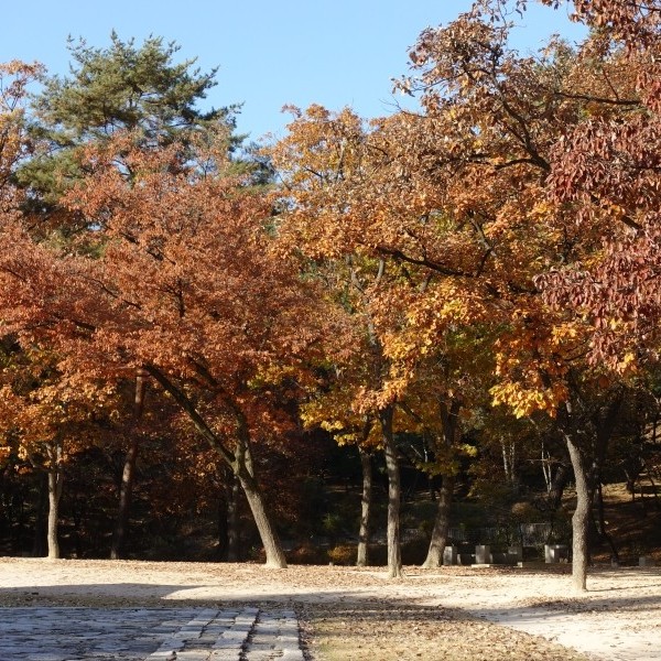 #191115 유네스코 세계문화유산 - 조선왕릉, 정릉