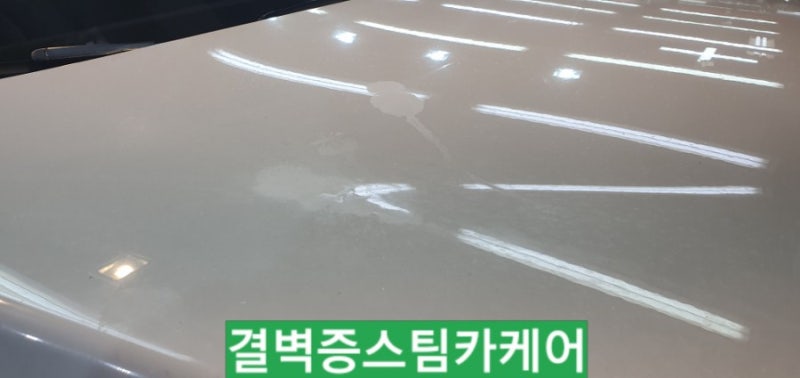 부산 사상구 / 디테일링/세차 / BMW / 5시리즈