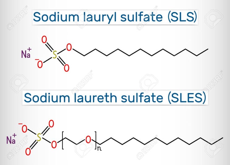 [성분공부(복습)]14.SLS (Sodiumlaurylsulfate 소듐라우릴설페이트) 15 SLES (Sodiumlaurethsulfate 소듐라우레스설페이트)