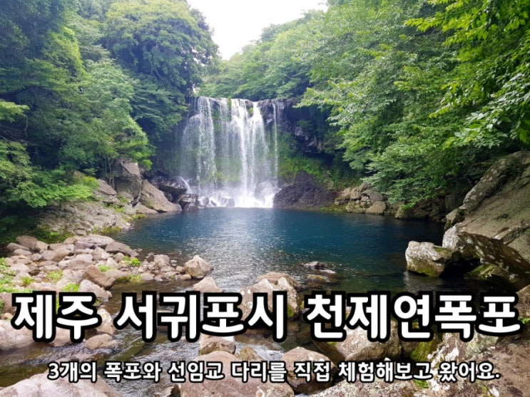 제주 천제연폭포와 선임교에 풍경을 제대로 만끽했어요. 제주 천제연폭포와 선임교에 풍경을 제대로 만끽했어요.