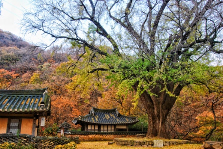  운곡서원