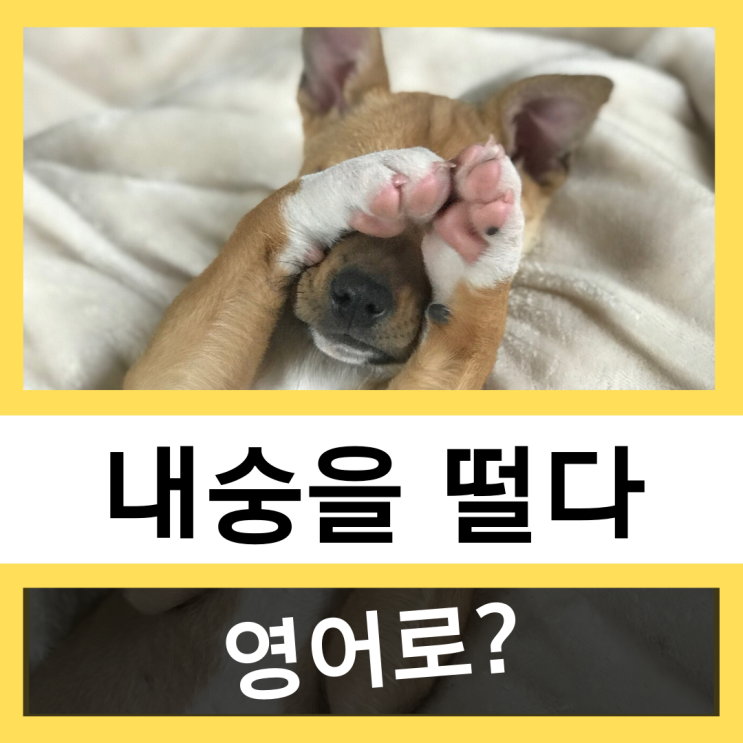 '내숭, 내숭떨다'를 영어로?