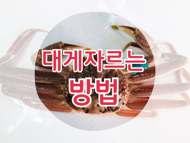 대게집 딸이 알려주는 대게 자르는 방법