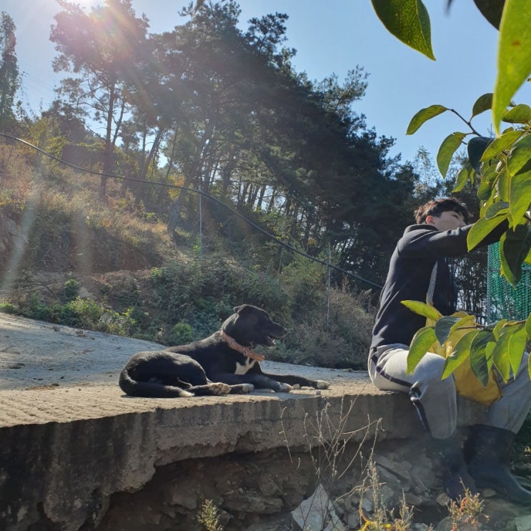  일상