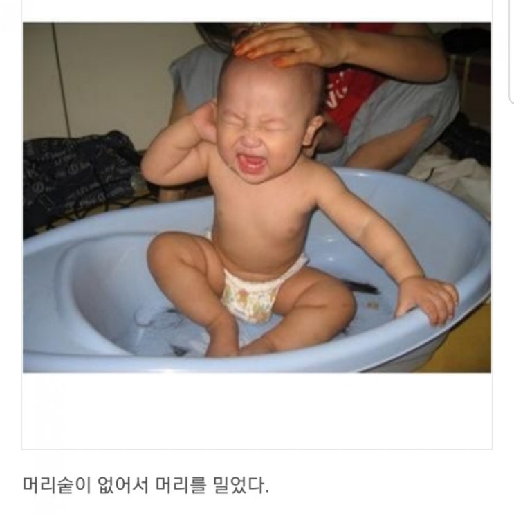  나 집에서 미용실 놀이 하는 블로거야 나에 평생 고객 VIP