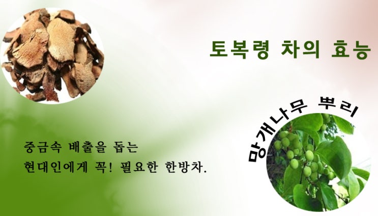  토복령의 효능. 망개나무 뿌리