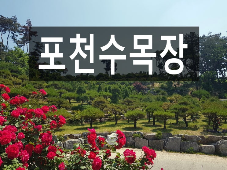  포천수목장 조용한 환경이 매력적인 곳!