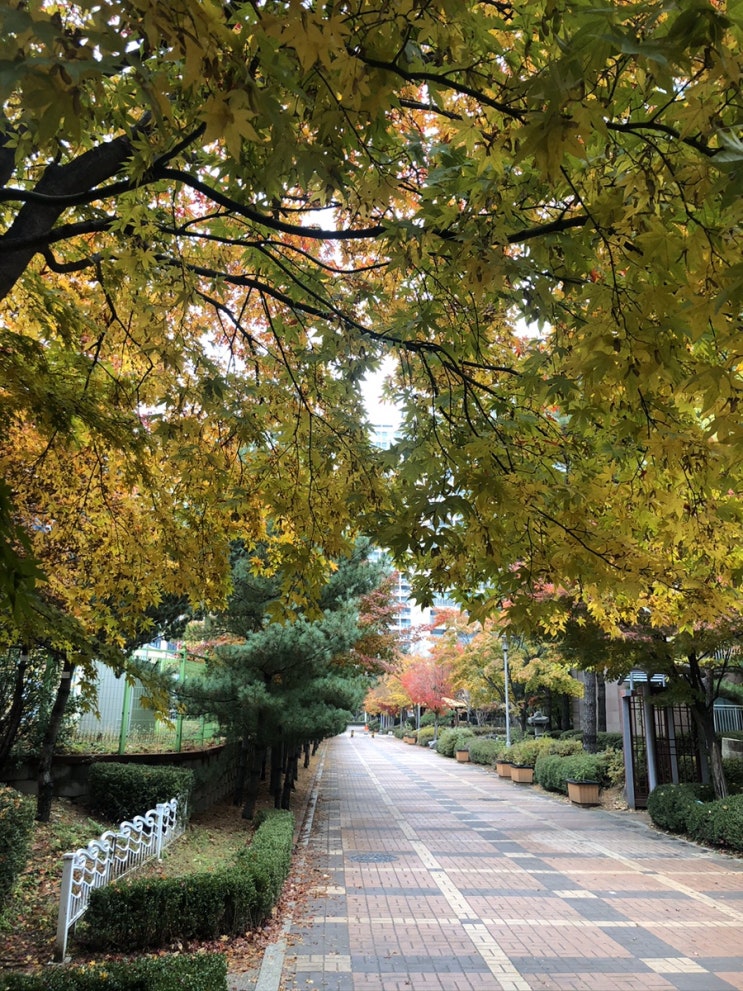  [사람과치과 책] 언어의 온도