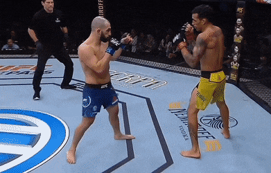 UFC 상 파울루 : 블라코비치 vs 자카레 피니시 영상(GIF) 및 뒷얘기 UFC 상 파울루 : 블라코비치 vs 자카레 피니시 영상(GIF) 및 뒷얘기