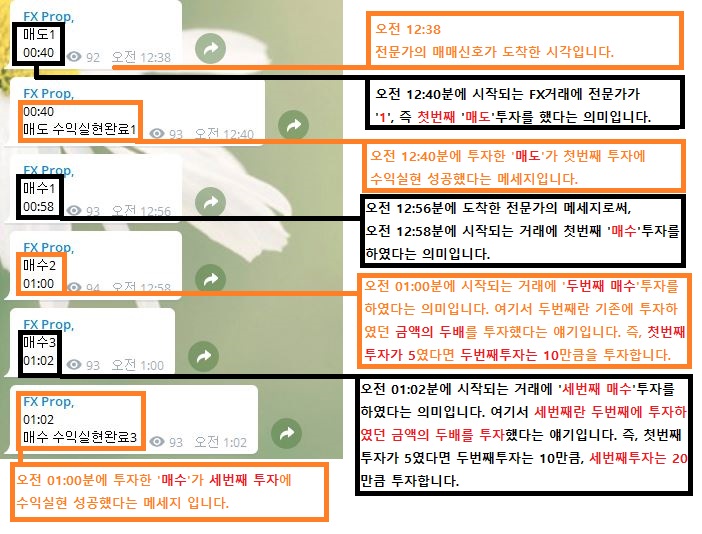  FXONE 전문가 매매신호 사용법